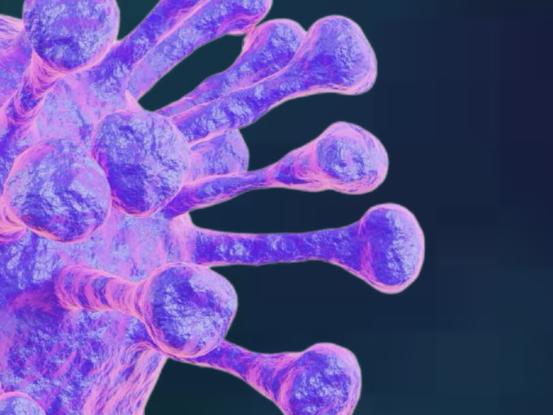 Innovating the Future of Healthcare