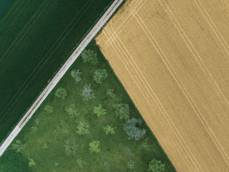 10 Predictions for Agriculture in 2025